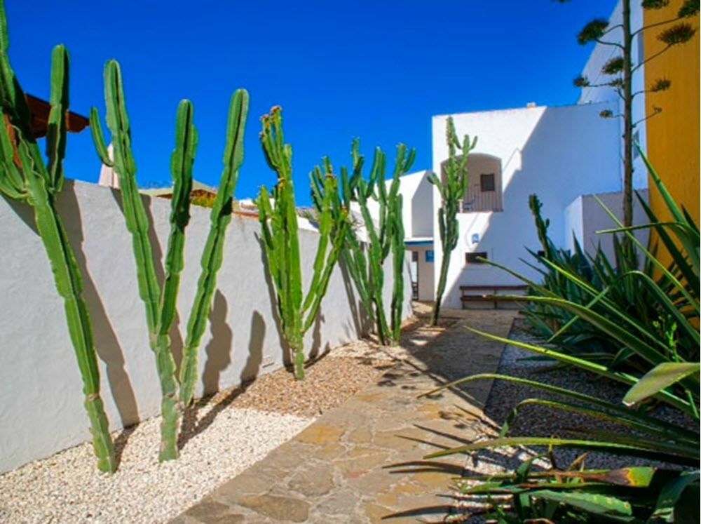 Hostal Dona Lola Marina Zahara de los Atunes Ngoại thất bức ảnh